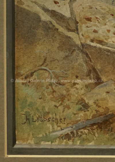  / Motiv ze Švýcarska / Karel Liebscher