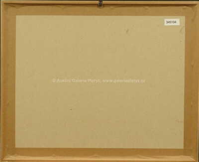  / Z cyklu Střelnice I / Marie Čermínová - Toyen