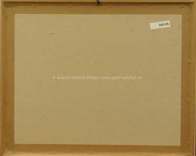  / Z cyklu Střelnice II / Marie Čermínová - Toyen