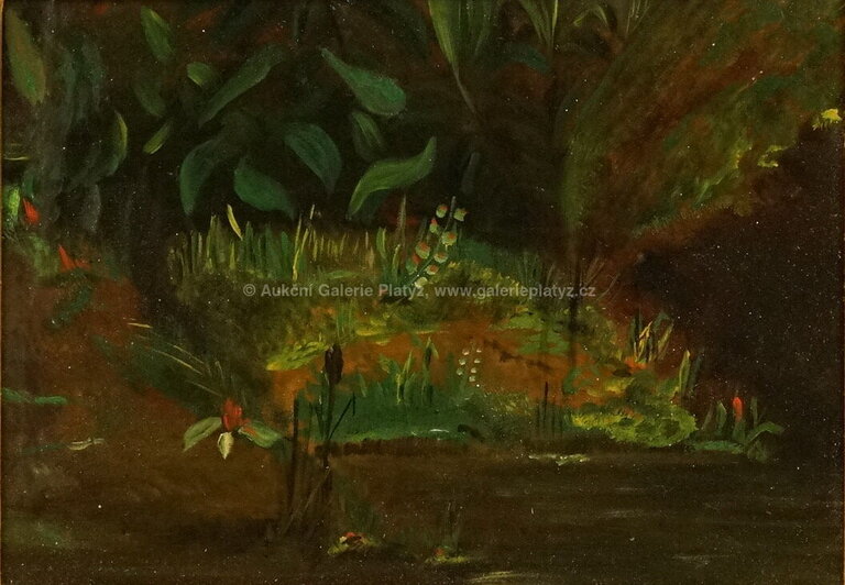  / Rajský prales / Max Švabinský