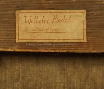  / Kamenná řeka / Vilém Riedel