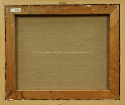  / Dva ptáci / Vladimír Komárek