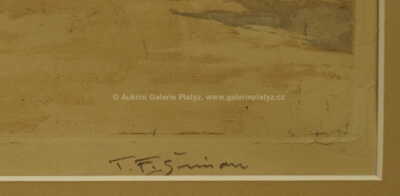  / Ovocnářský krámek v Pařiži / František Tavík Šimon