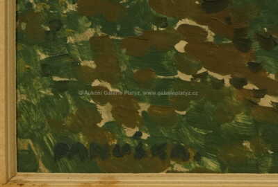  / Starý mlýn / Jaroslav Panuška