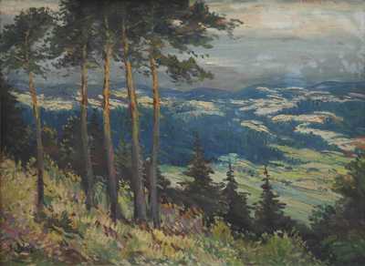  / Borovice / Josef Bino