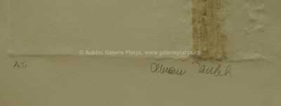  / Marie s ratolestí / Olbram Zoubek