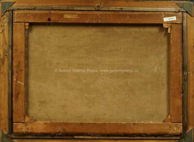  / Letní krajina /  Josef Holub