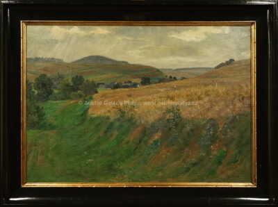 Josef Holub - Letní krajina