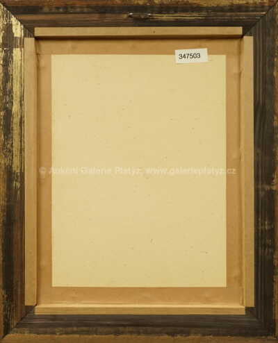  / Dívka s růží / Marie Čermínová - Toyen