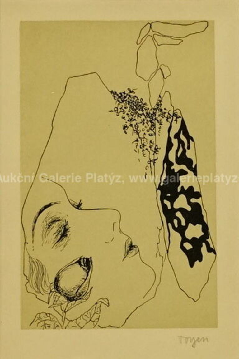  / Dívka s růží / Marie Čermínová - Toyen