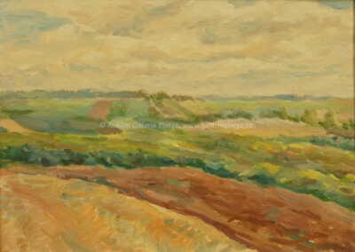  / Podmračný den / František Kaván