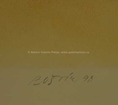  / Mlhovina / Václav Boštík.
