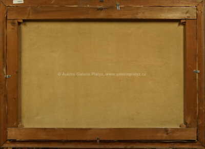  / Tuhá zima / Karel Schadt