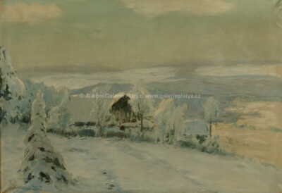  / Tuhá zima / Karel Schadt