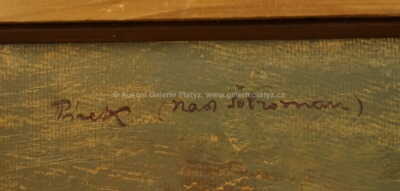  / Od Písku / Ota Bubeníček