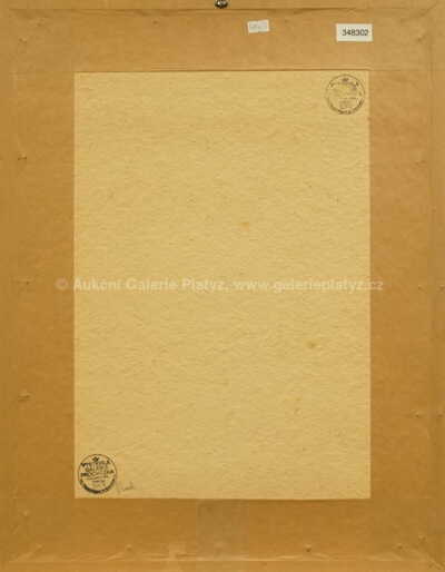  / Strážnické slavnosti / Vladimír Vašíček