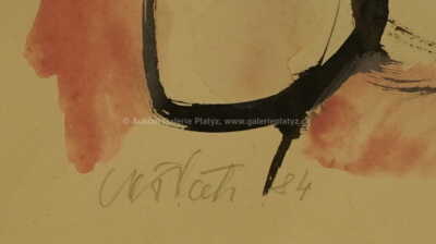  / Strážnické slavnosti / Vladimír Vašíček