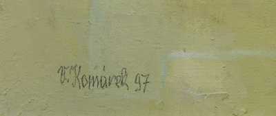  / Vikýře / Vladimír Komárek