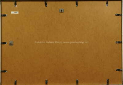  / Bez názvu /  Firma