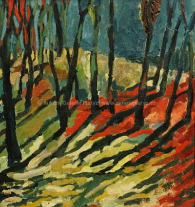  / Les / Václav Hejna