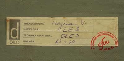  / Les / Václav Hejna