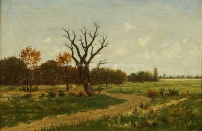  / Strom u cesty / Albín Lhota