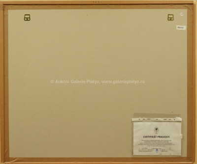  / Kámen vzpomínek / Kamil Lhoták