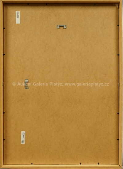  / Who Came From / Pasta  Oner