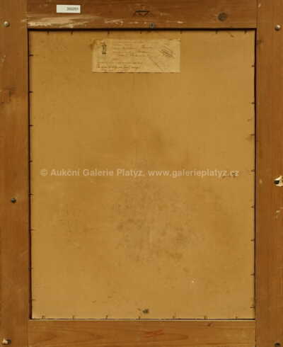  / Kosatce / Josef Soukup