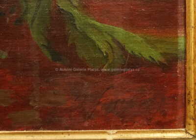  / Kosatce / Josef Soukup