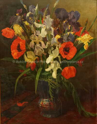  / Kosatce / Josef Soukup