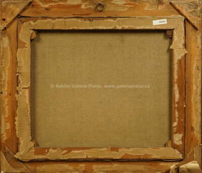  / Na kraji lesa / Vít Skála