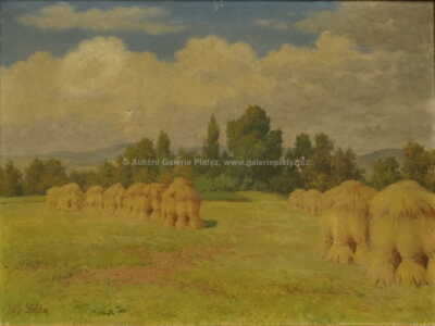  / Snopy / Vít Skála