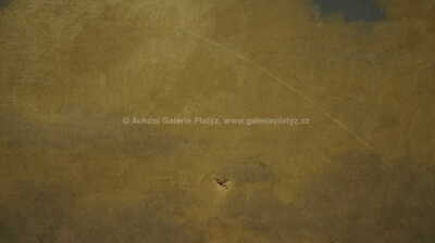  / Snopy / Vít Skála