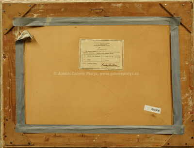  / Zima na Českomoravské vysočině / Karel Jan Sigmund