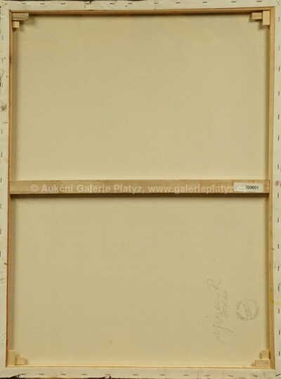  / Po koupeli / Robert Jiran