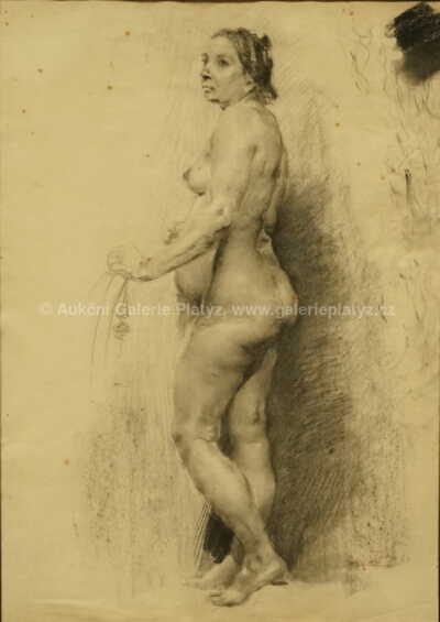  / Žena / František Kupka