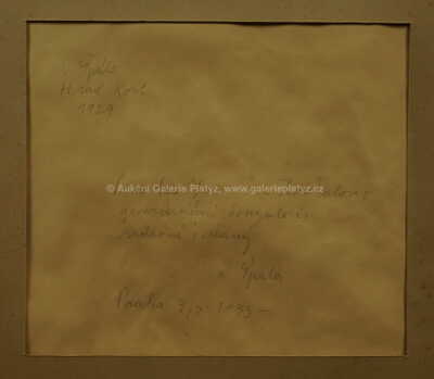  / Hrad Kost / Václav Špála