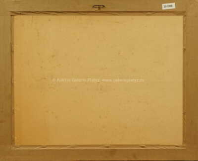  / Ratibořický zámek / Václav Špála