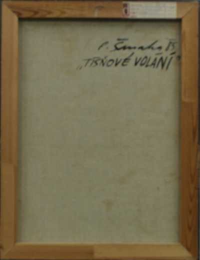  / Tísňové volání / Petr Šmaha