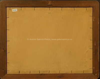  / Krajina / Vojtěch  Sedláček