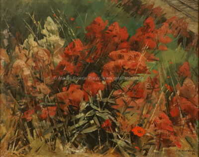  / Vlčí máky / Julie Mezerová-Winterová