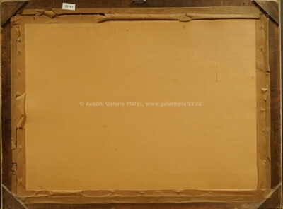  / Vysoké nebe / Vojtěch  Sedláček