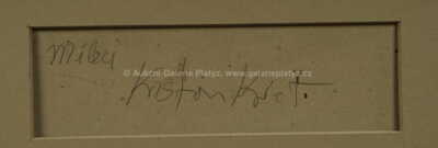  / Milenci / Kristian Kodet