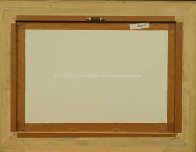  / Vlčí máky / Vincenc Beneš