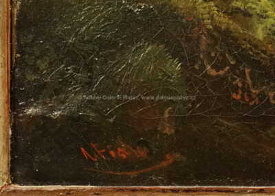  / Horská bystřina /   Autor neurčen