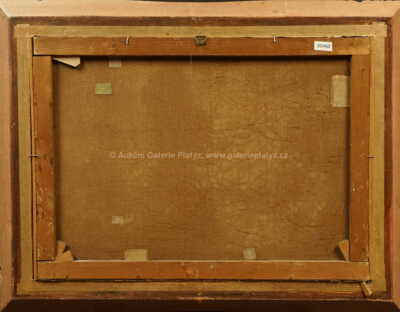  / Horská bystřina /   Autor neurčen