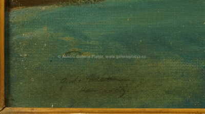  / Kameničky / Gustav Macoun