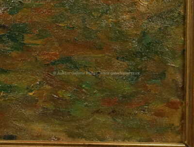  / Starý mlýn / Miloš Pošar