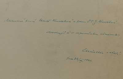  / Portrét ženy / Jaroslav Špillar